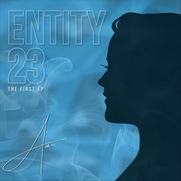 Cover art for Entity 23